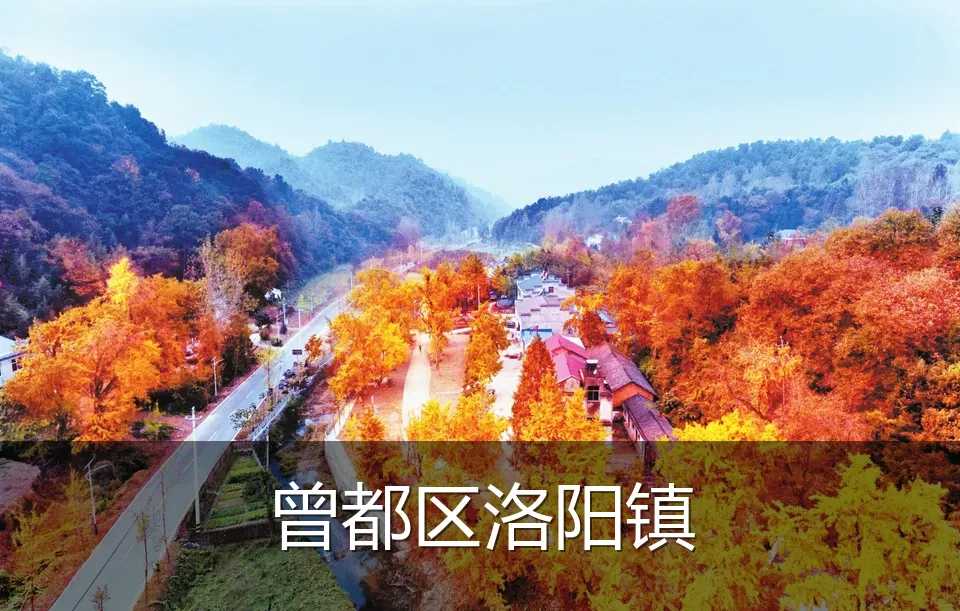 曾都区洛阳镇
