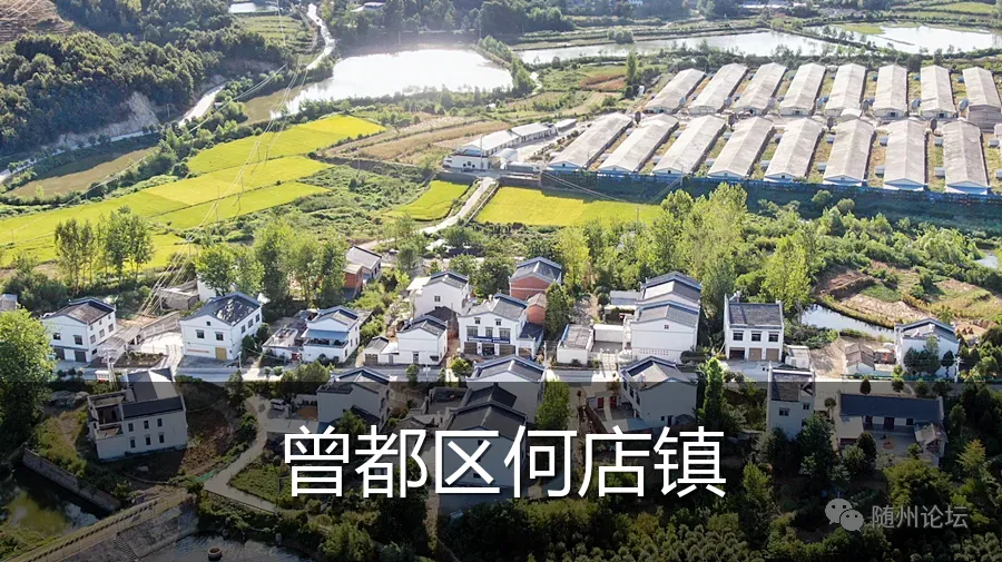 曾都区何店镇
