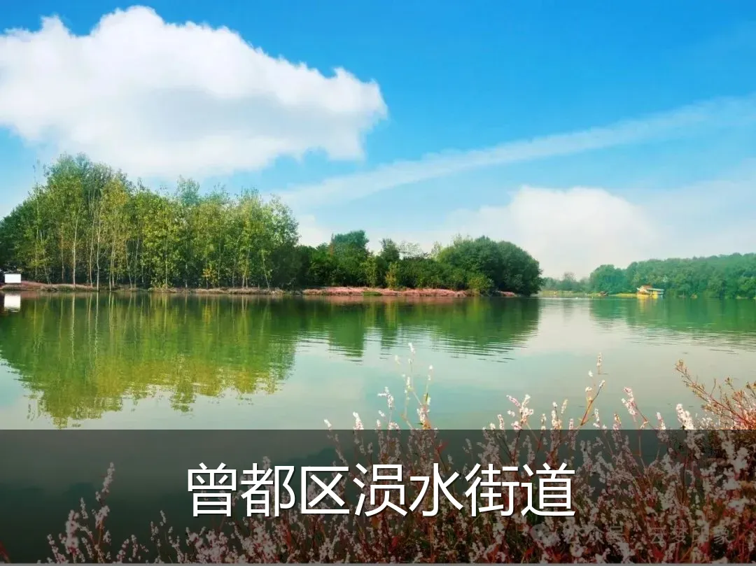 曾都区涢水街道