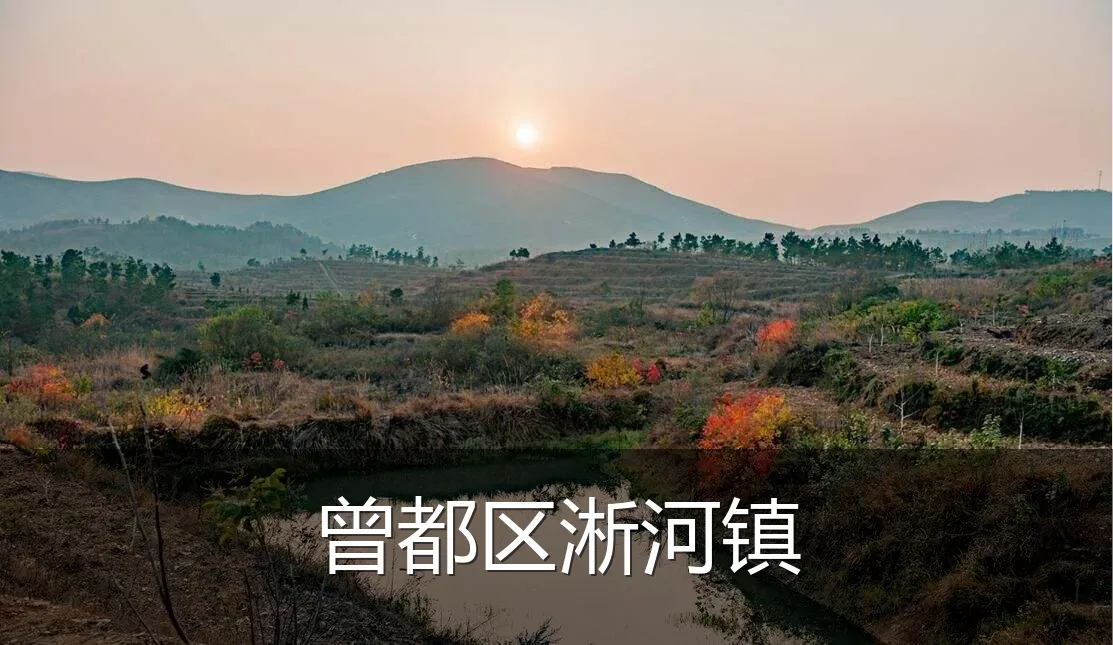 曾都区淅河镇
